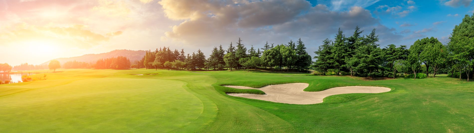 Bild: shutterstock, ABCDstock