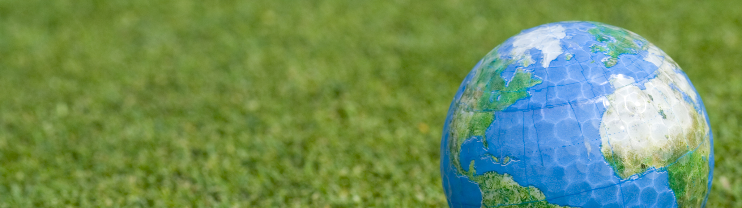 In der Welt der Profis unterwegs In der Welt der Profis unterwegs