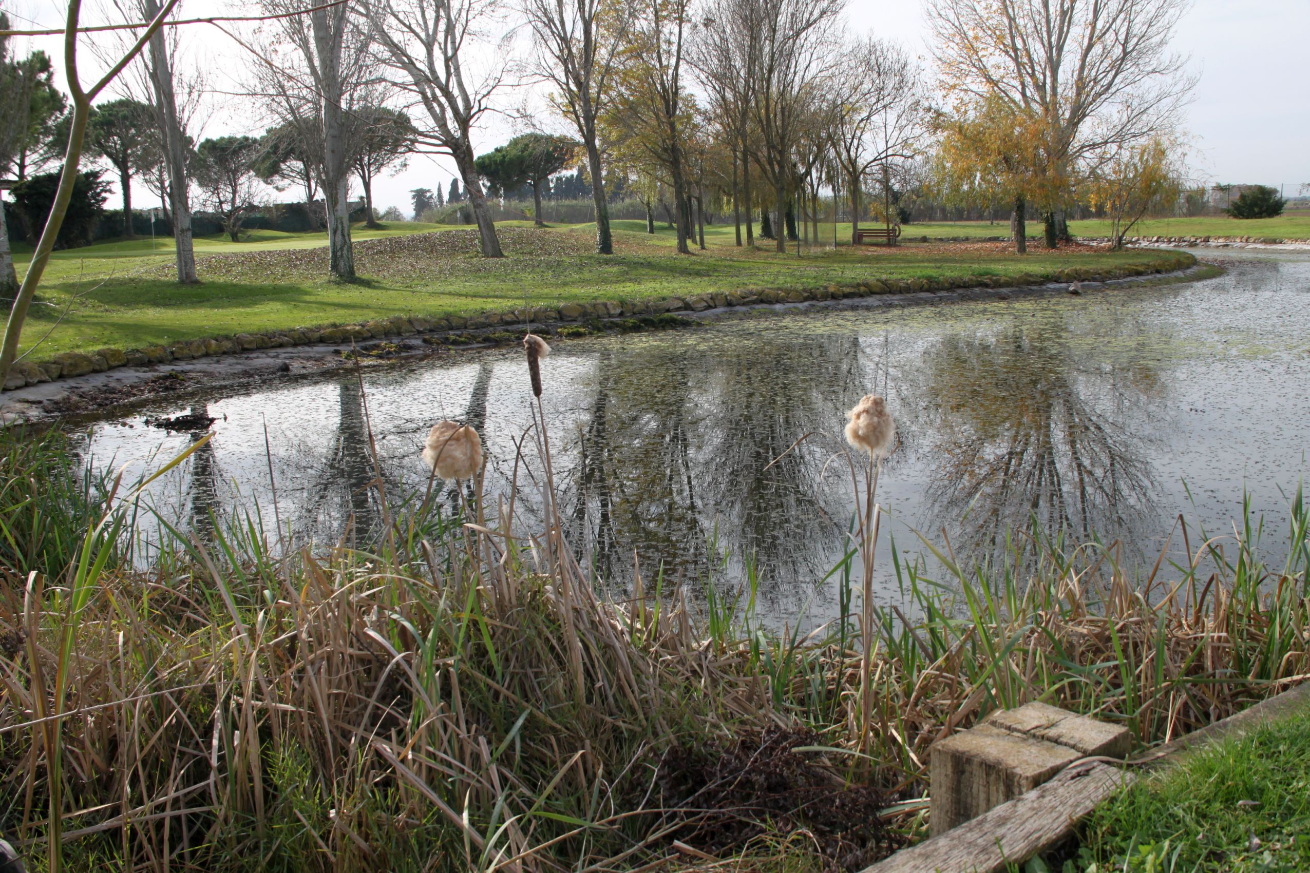 P&P Castello Empuriabrava: Ein Stück Wildnis mitten im Ort