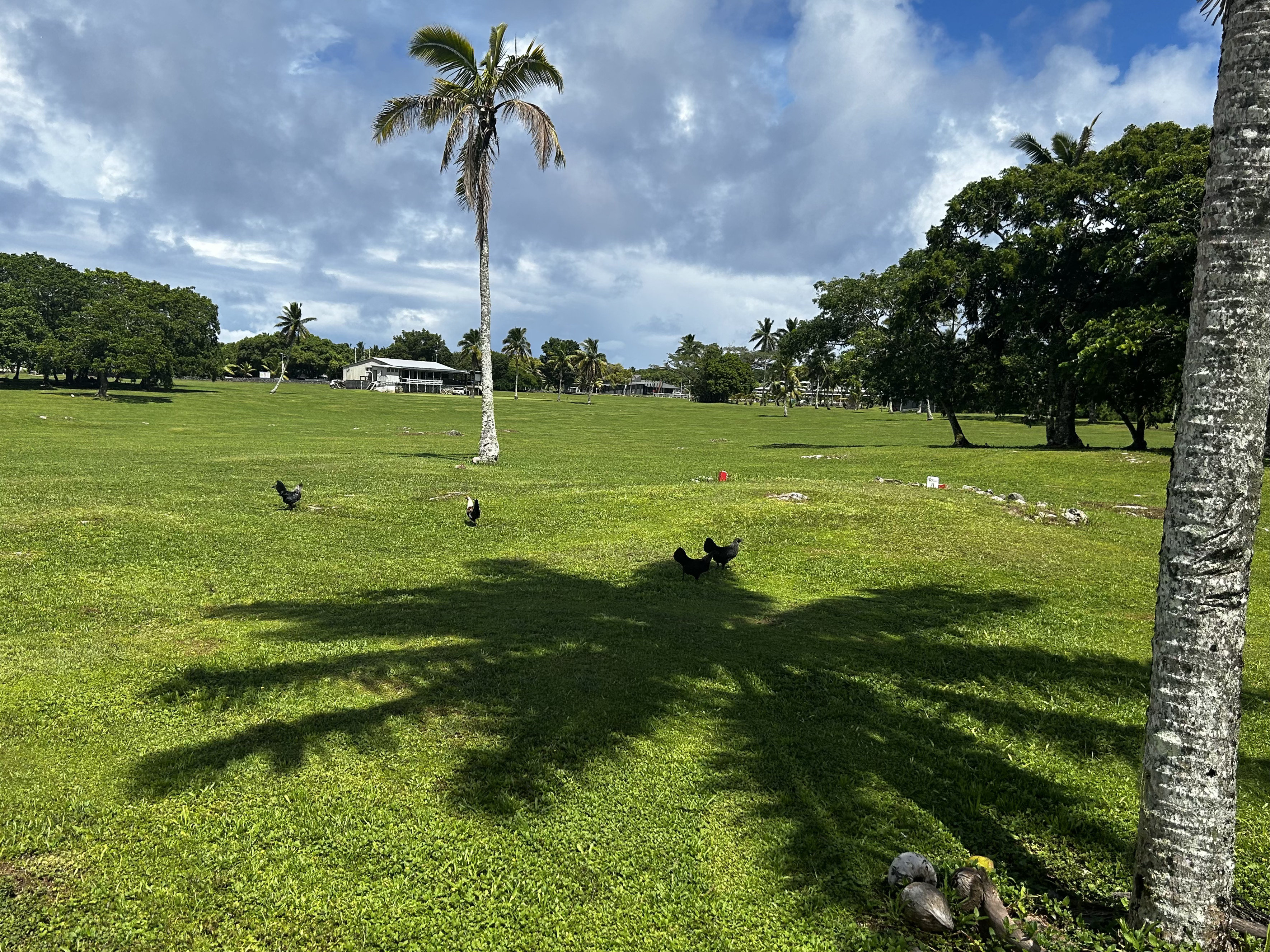 ...doch nicht ganz allein