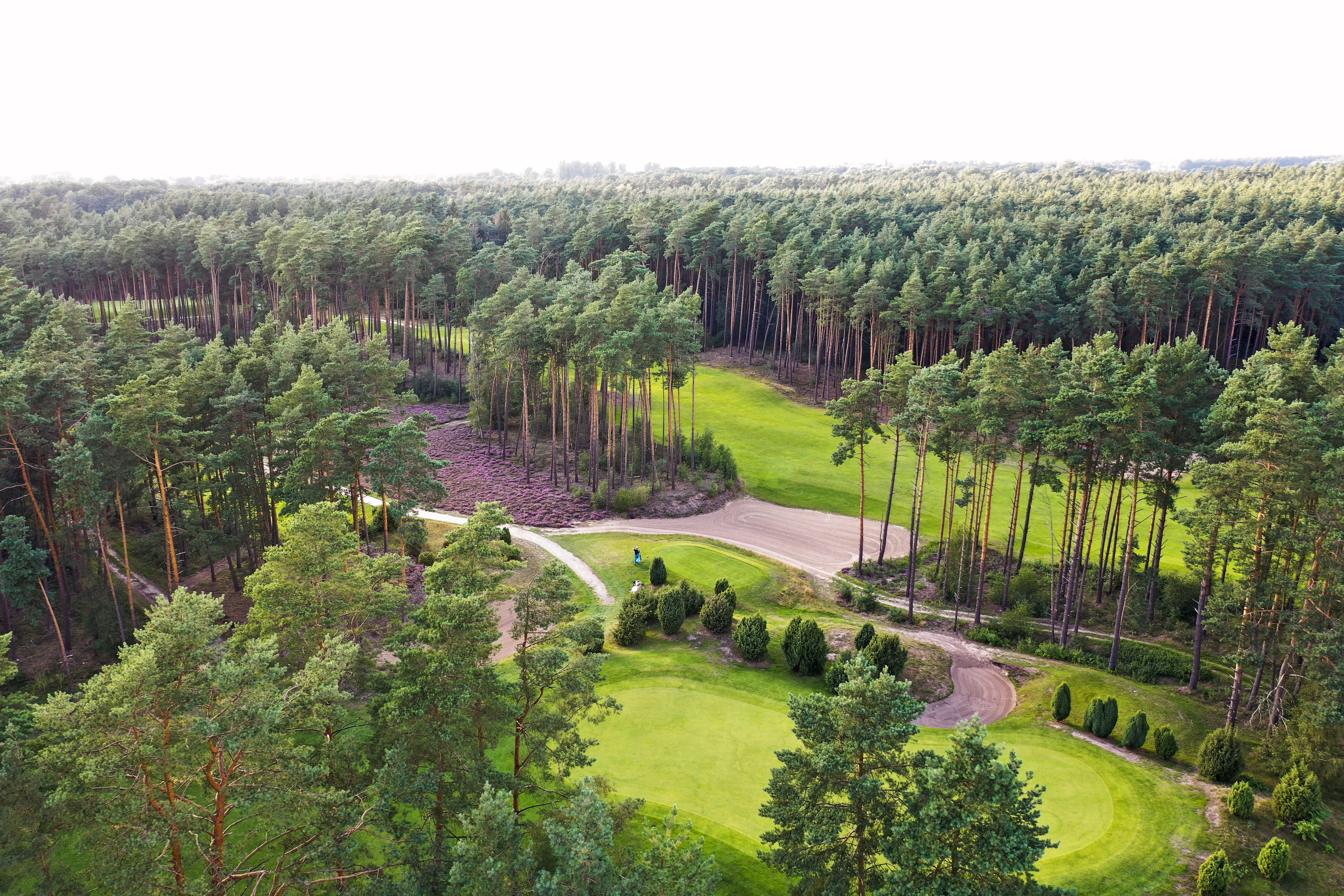 Ein typischer Heideplatz:  der GC St. Dionys