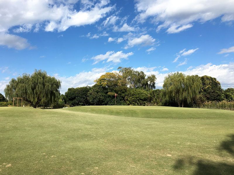 Schön hier - landestypische Bäume und Pflanzen