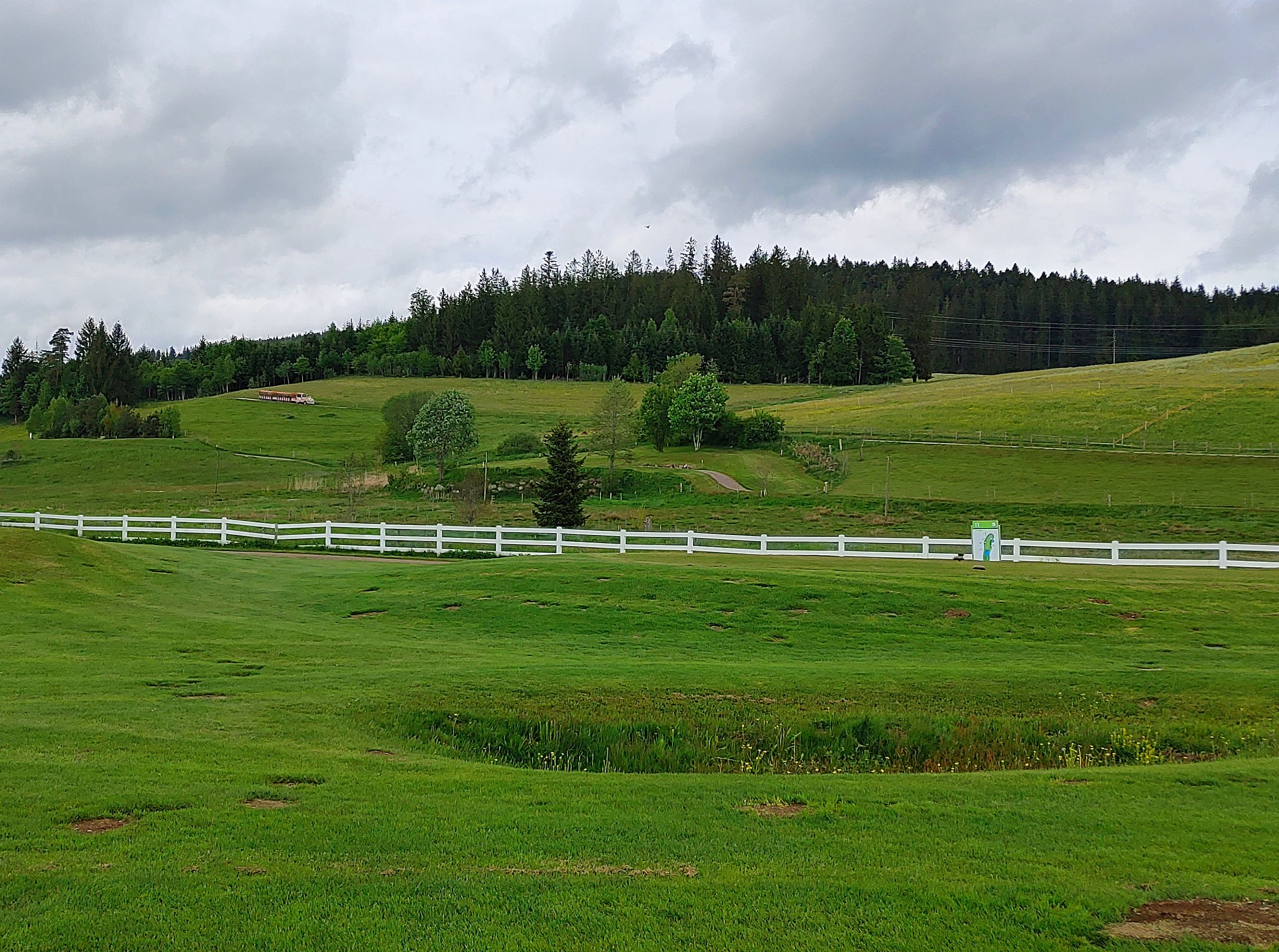 Überraschende Feuchtgebiete für Nichtgolfende Schwarzwaldrundfahrt