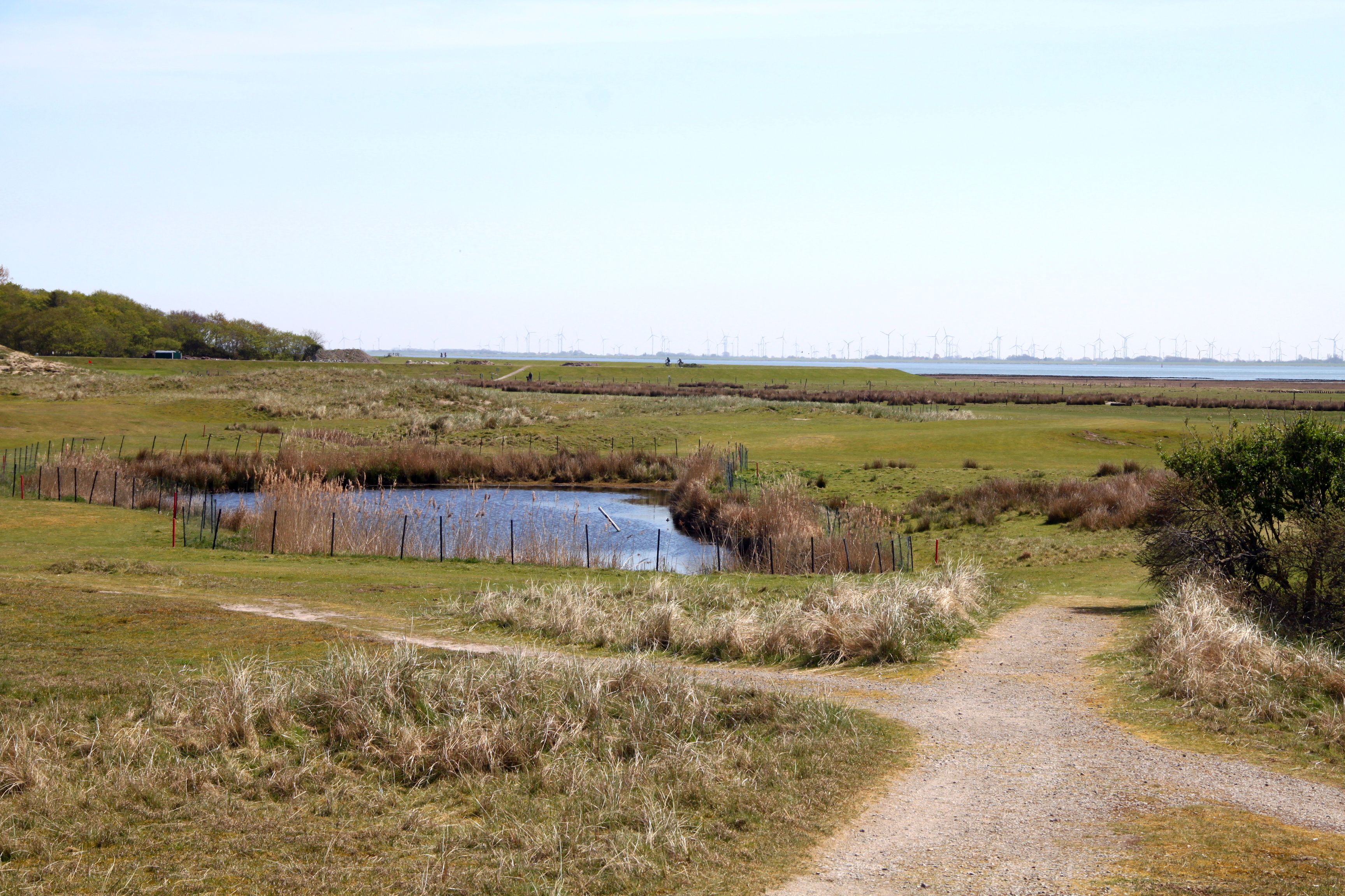 Aufgepasst auf Abschlag 8: links schön offen, aber rechts ist’s richtig