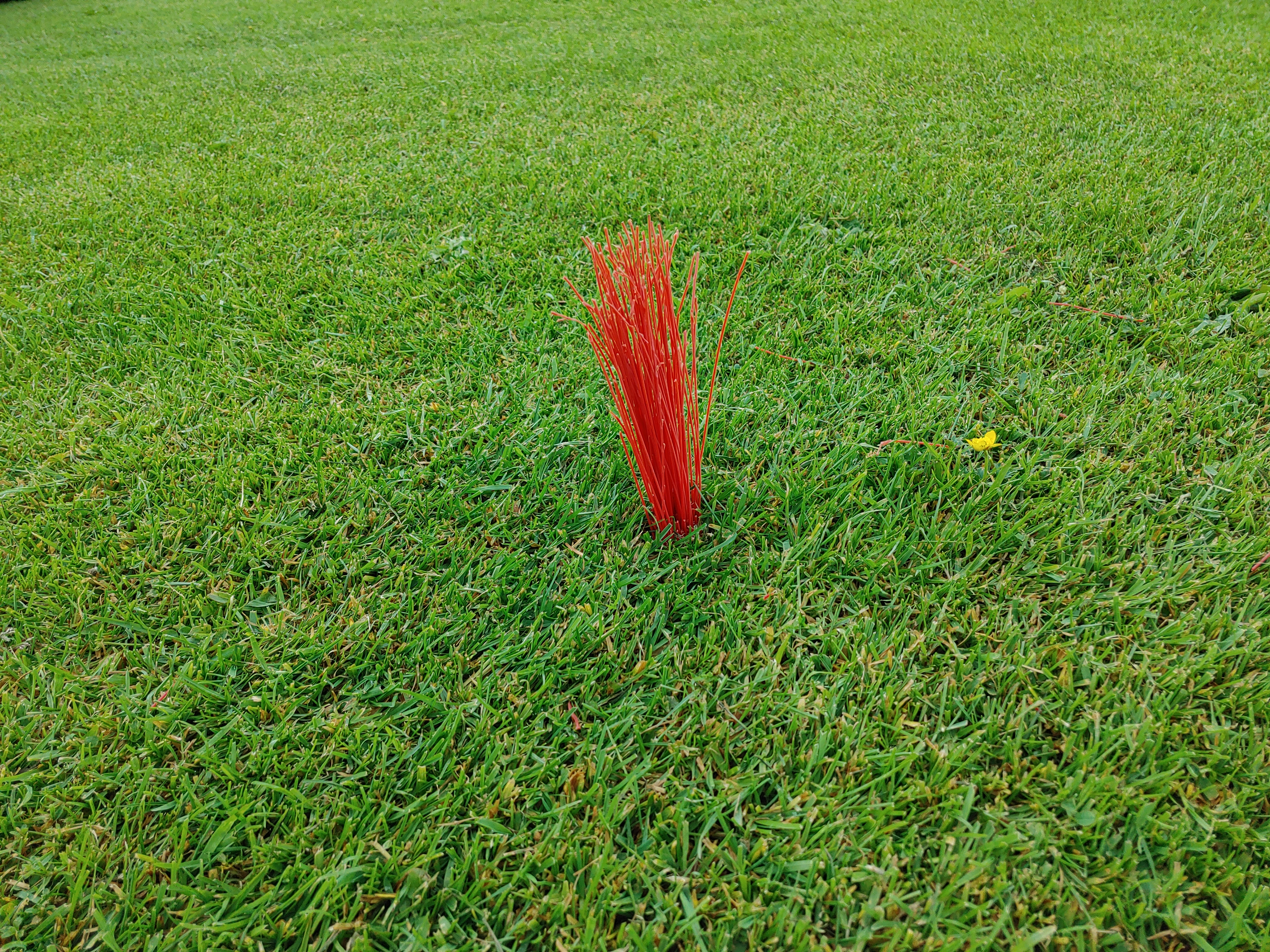 Ungewohnt: Entfernungsmarkierung per Farbbüsche