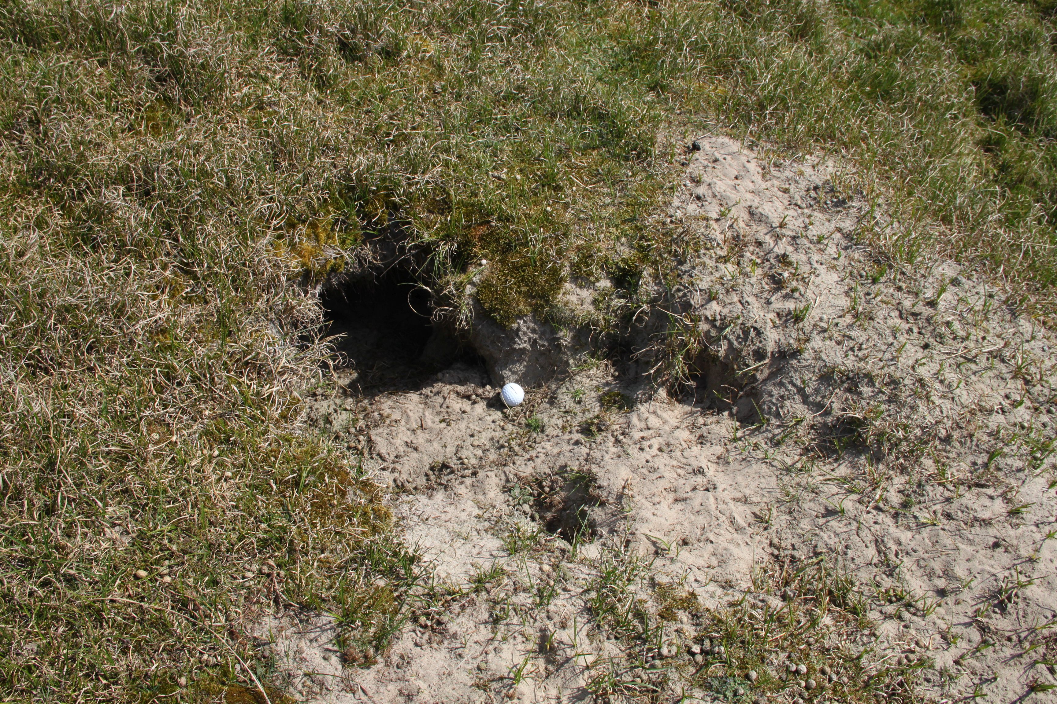 Fünf Zentimeter zwischen spielbar und Ballverlust