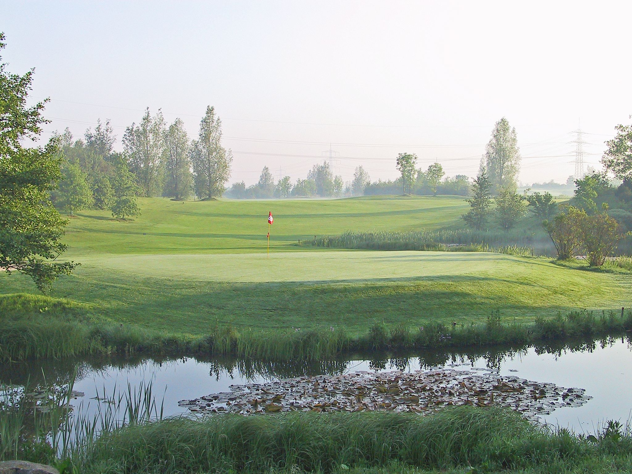 Das nächste Mal dann ohne Frost