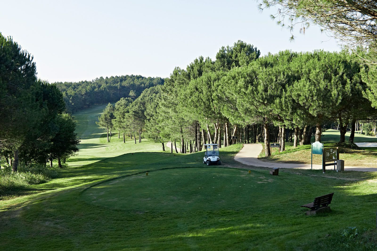 Der Kurs liegt im Naherholungsgebiet Belgrad-Wald