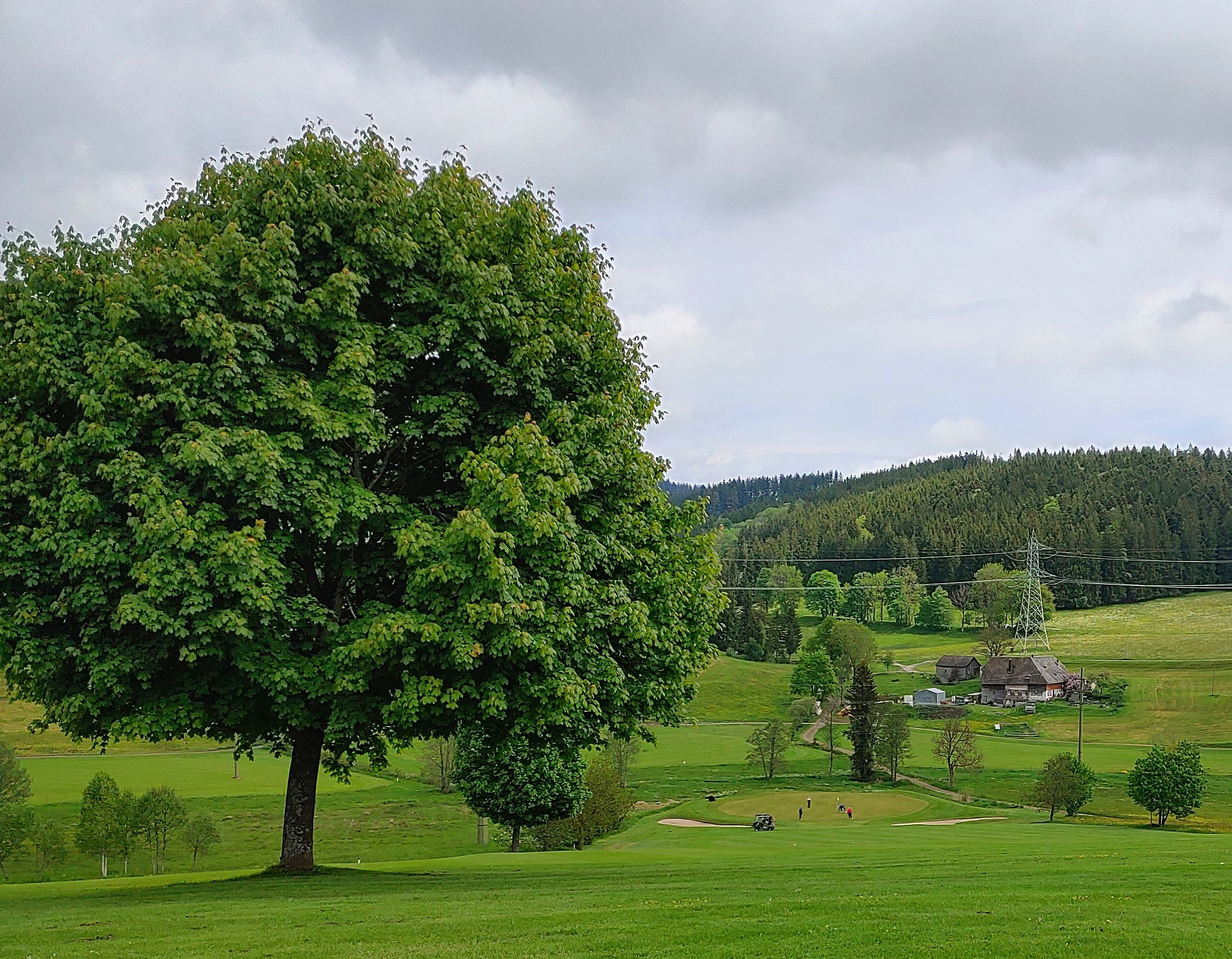 Alles nicht ganz flach