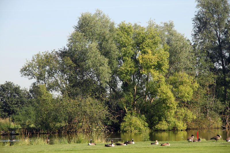 Nicht jeder findet ein Wasserloch bedrohlich