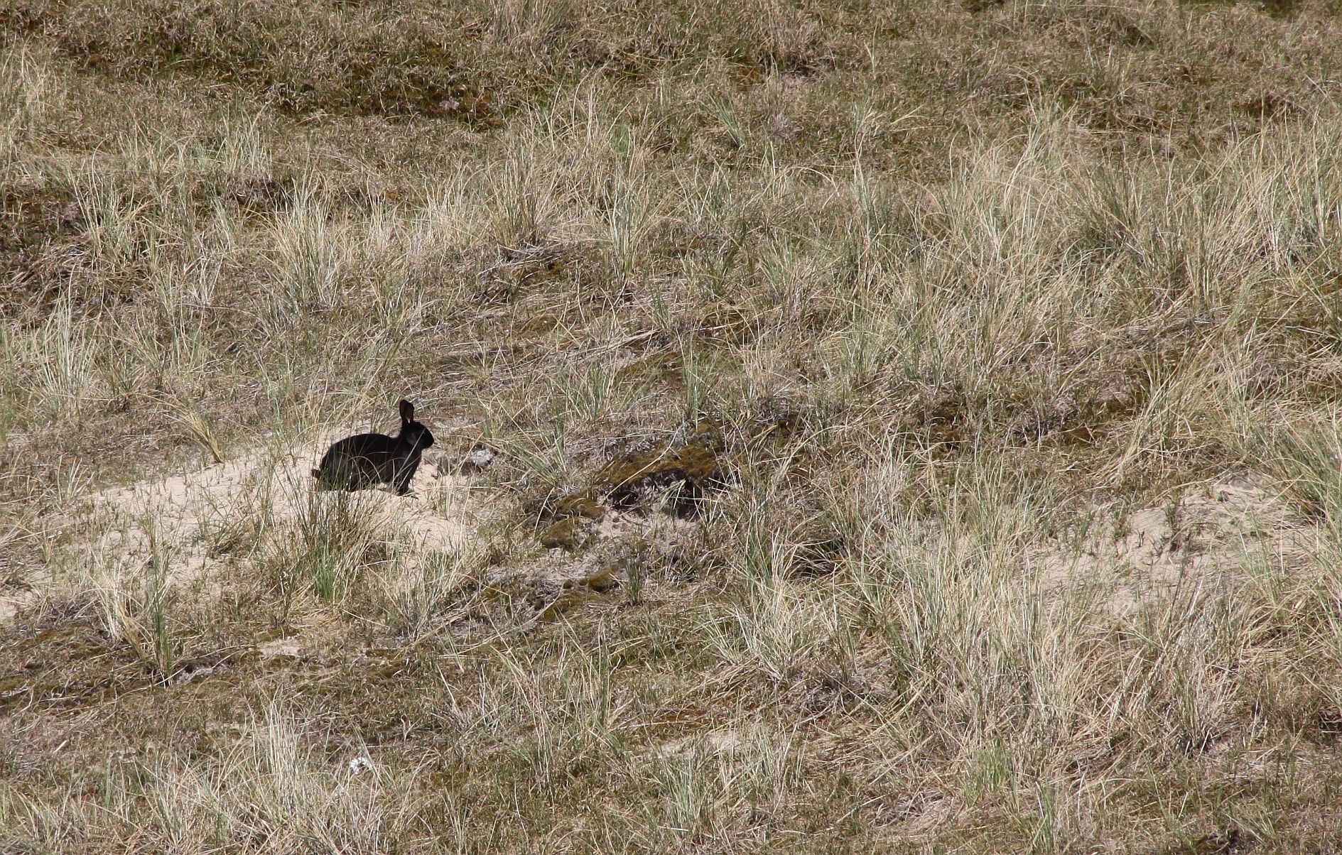 Schöne Farbe - Standortnachteil