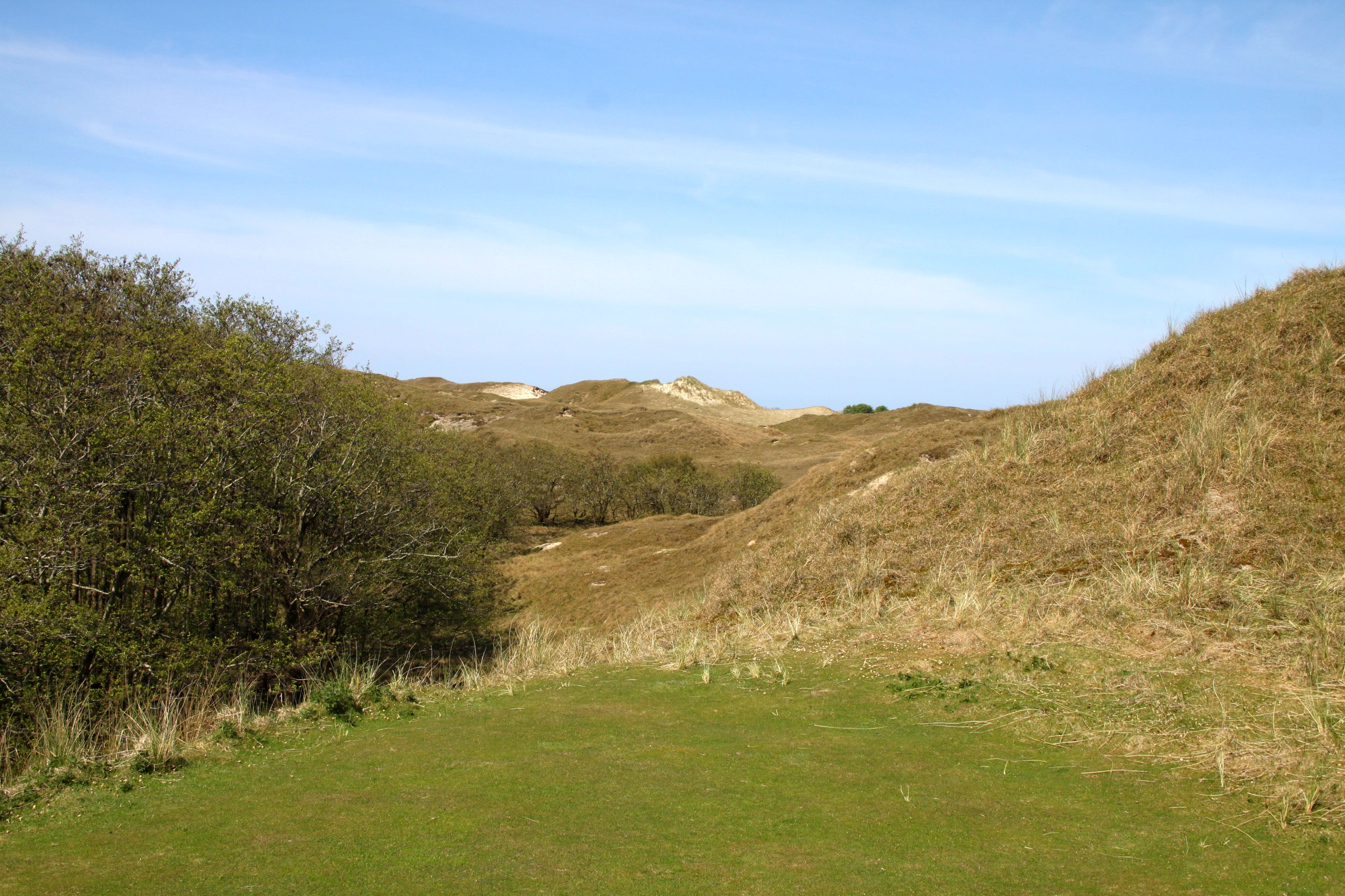 Da kann man schon mal den Überblick verlieren