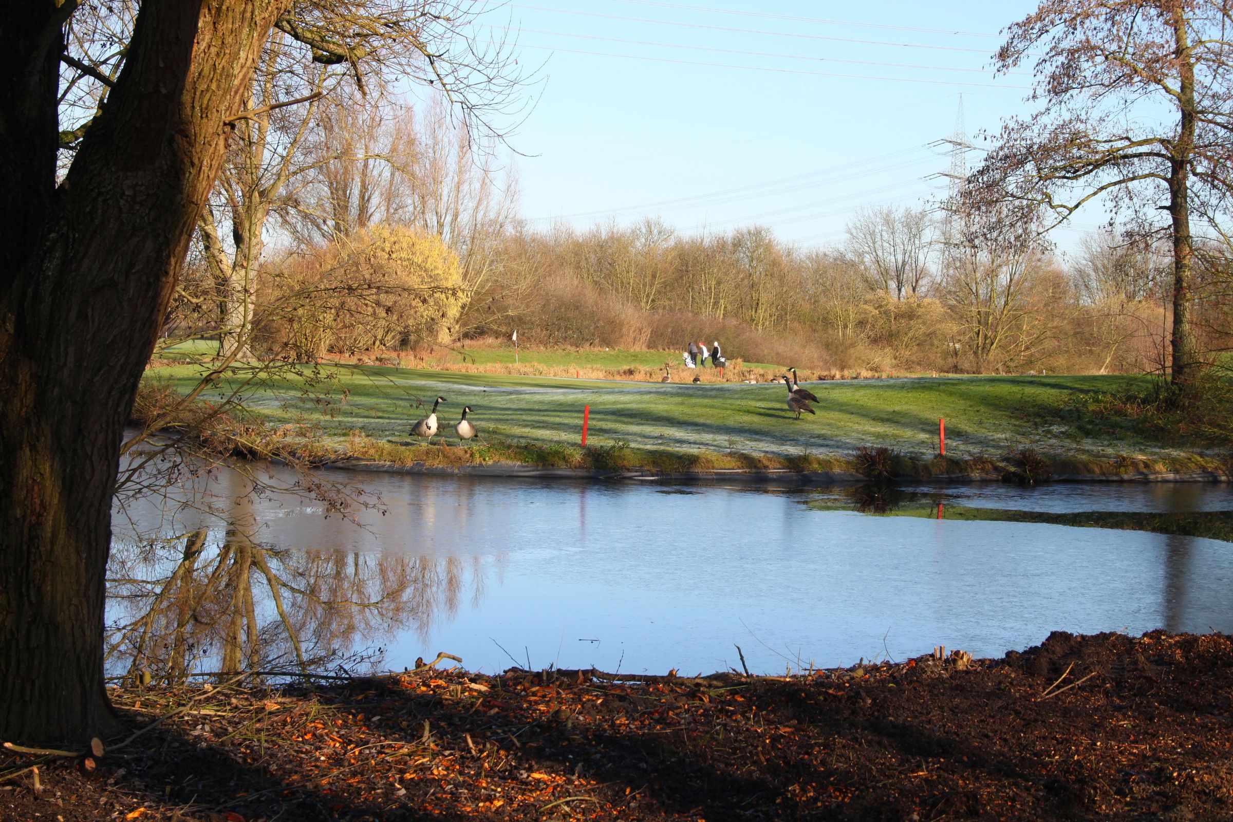 ... und unser Inselgrün