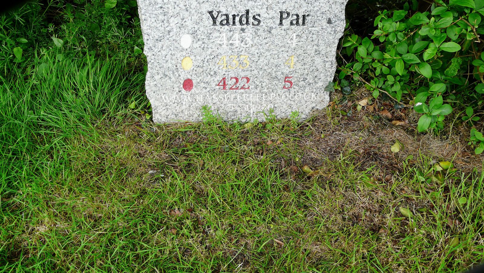 Dezente Werbung für die Ewigkeit: Tehidy Park