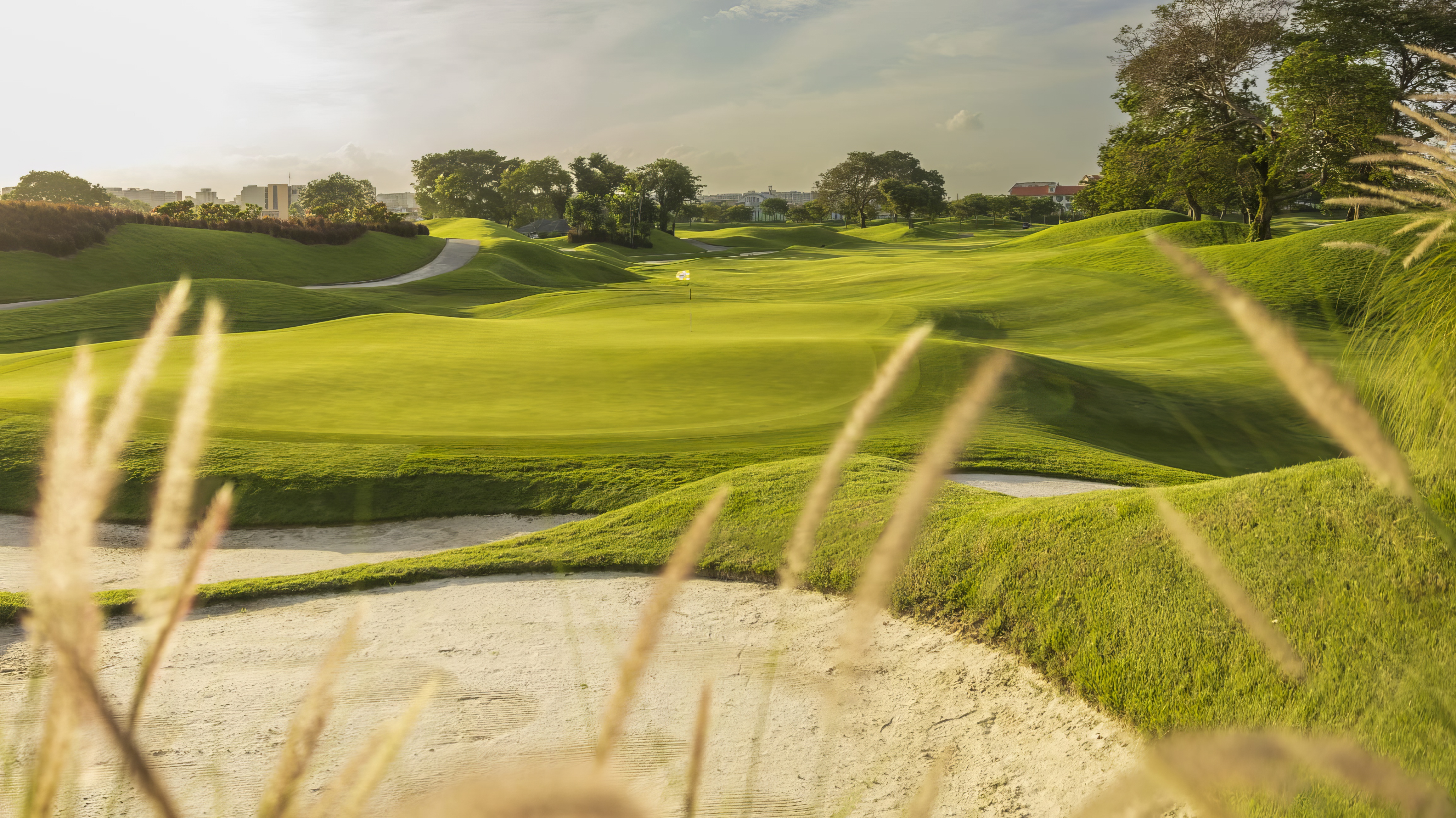 Wellig und wunderschön: Loch 8