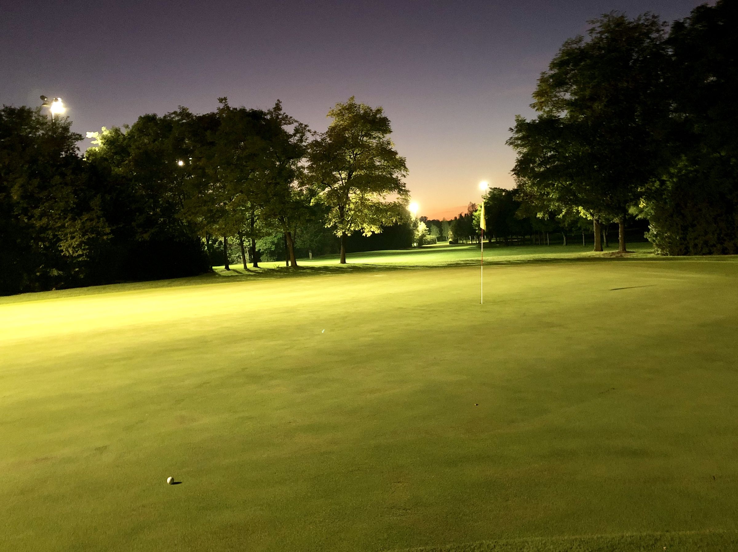             Im Rough verschluckt die Dunkelheit unpräzise Bälle