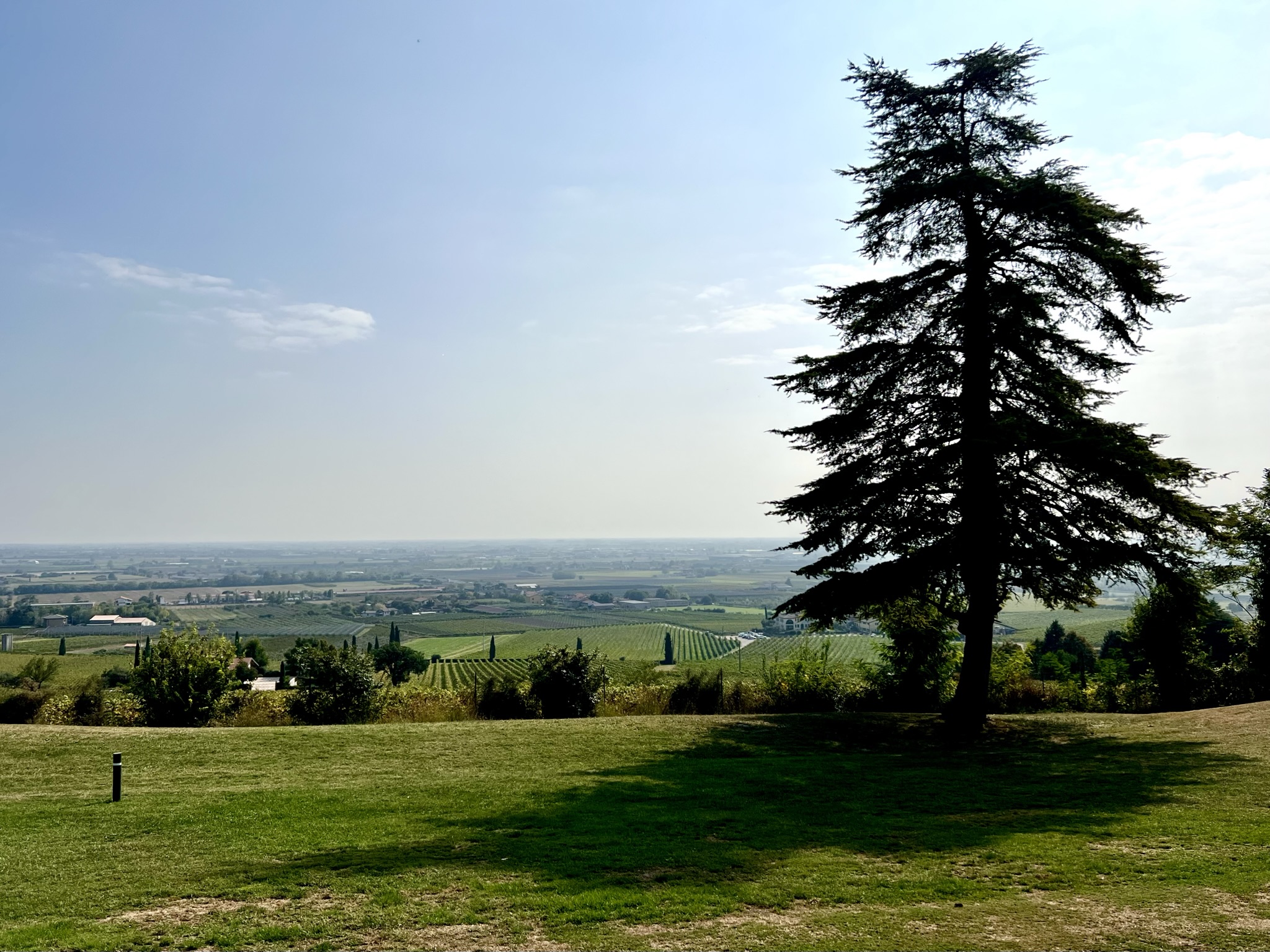 GC Verona: Weite Blicke über angrenzende Weinberge