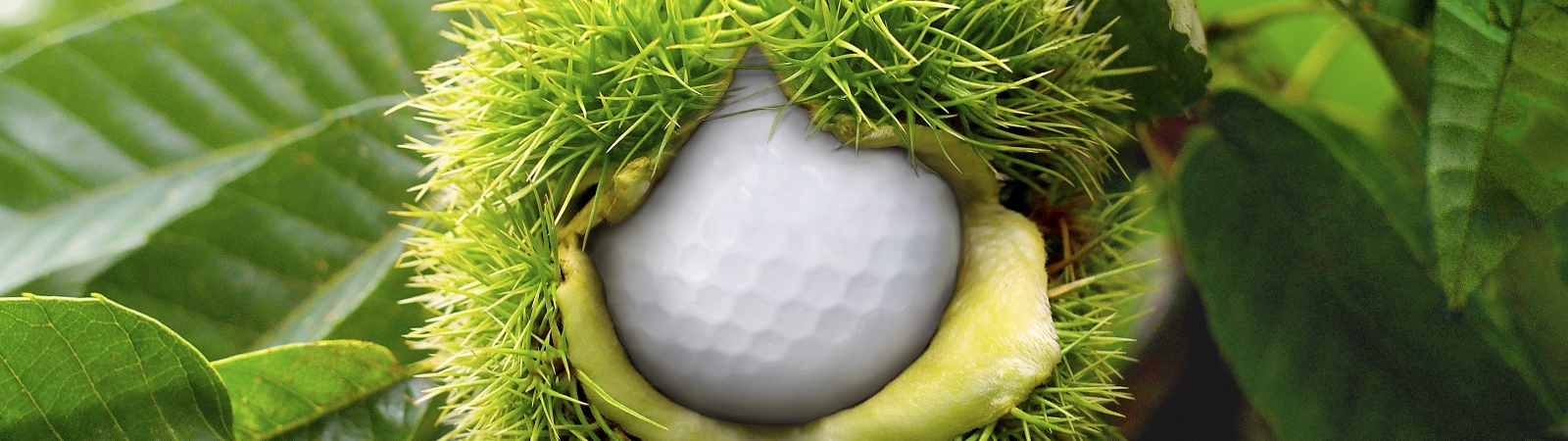 Herbstgolf ... Herbstgolf ...