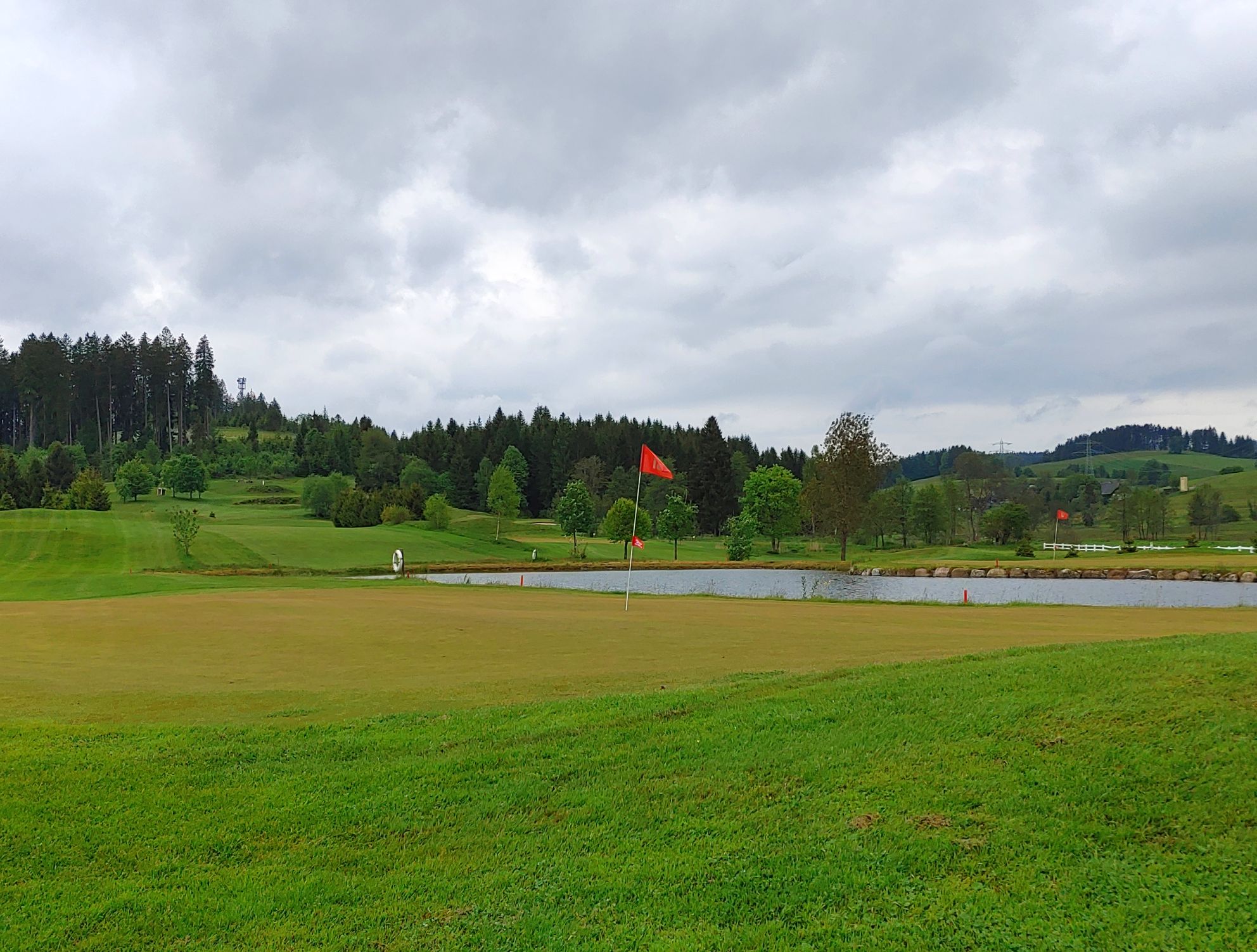 Ein erster Blick: dunkle Tannen, sanfte Hügel