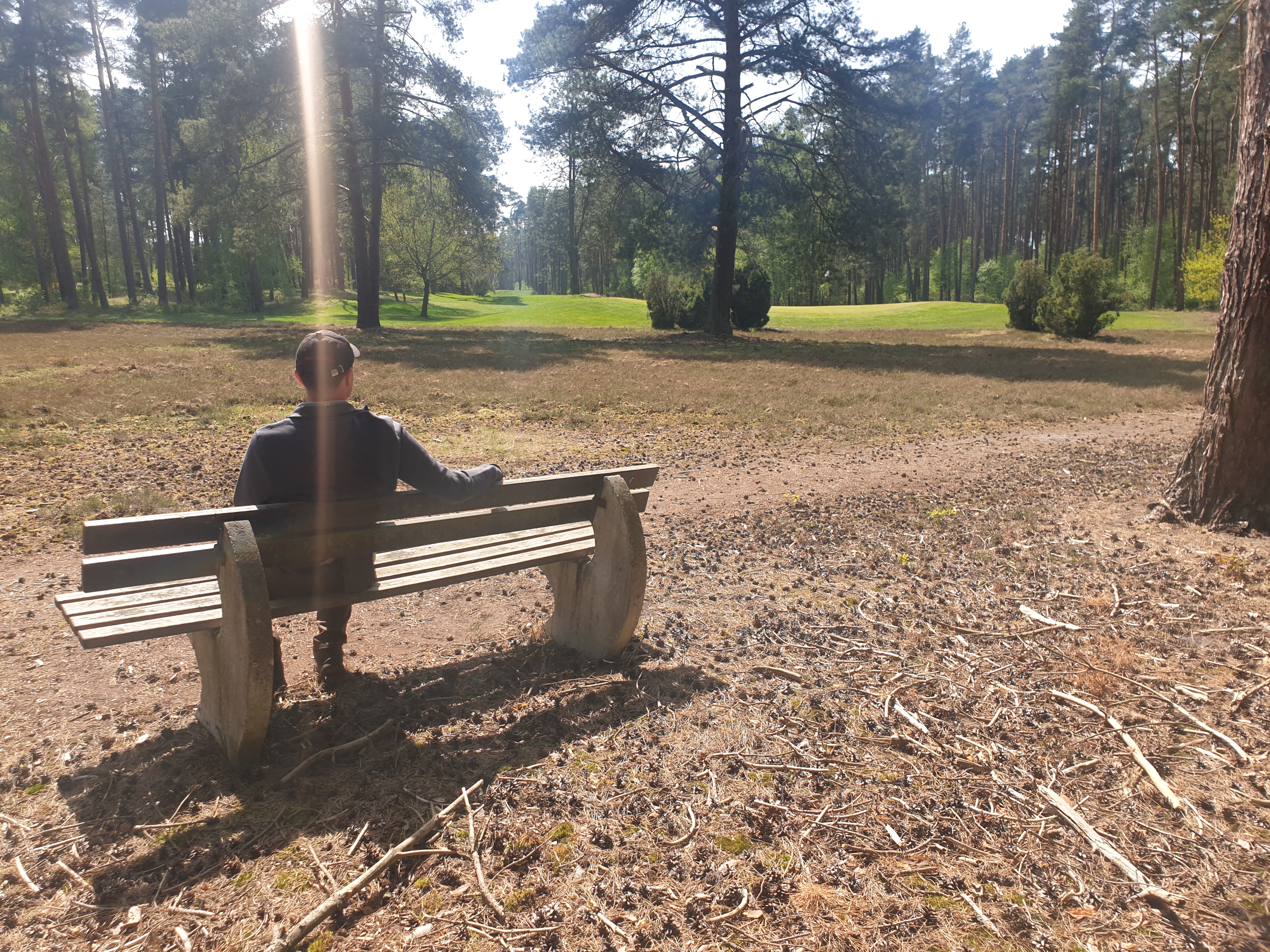 Seltener Anblick: Steinhauser auf Lieblingsbank