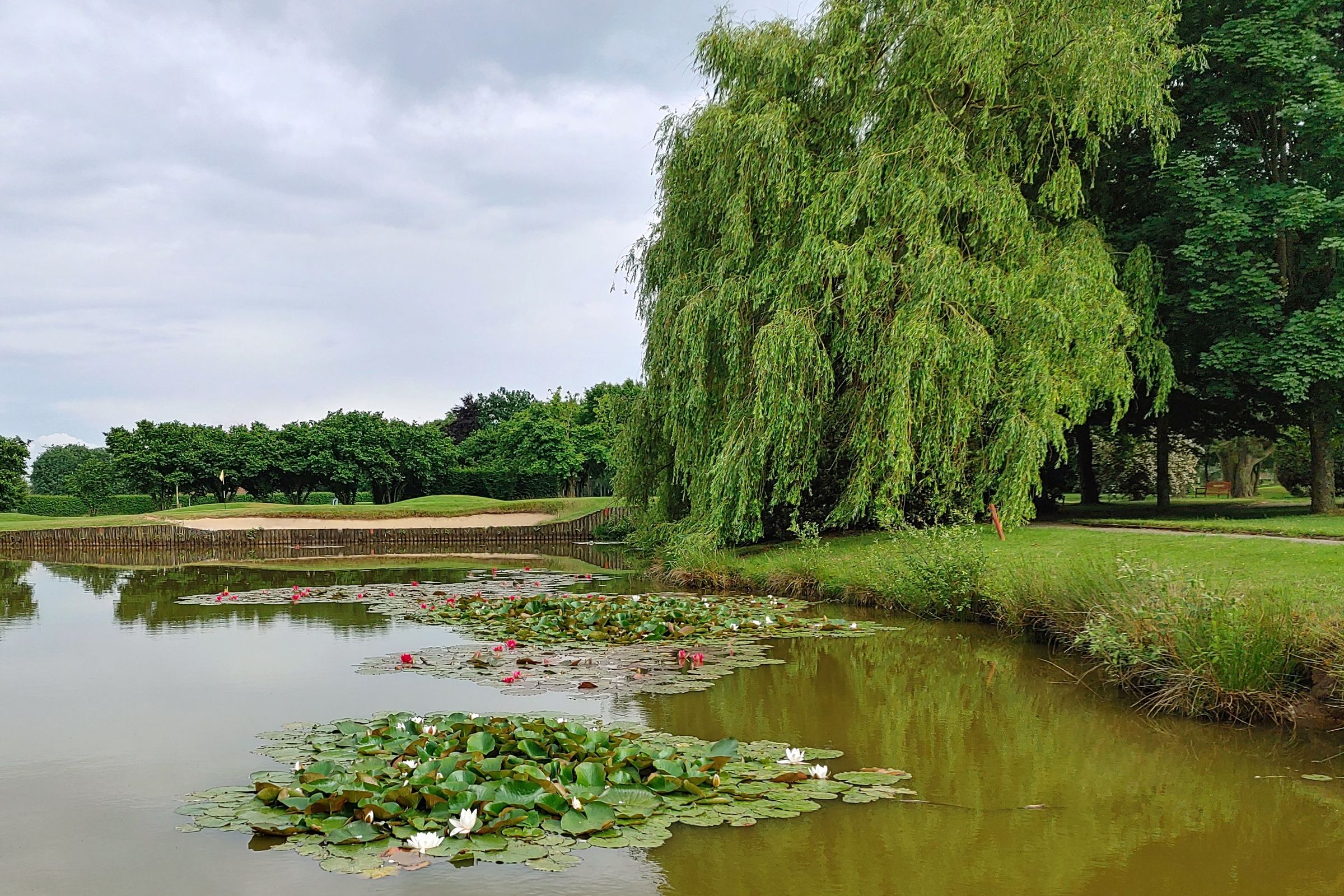 Willkommen im Grünen 