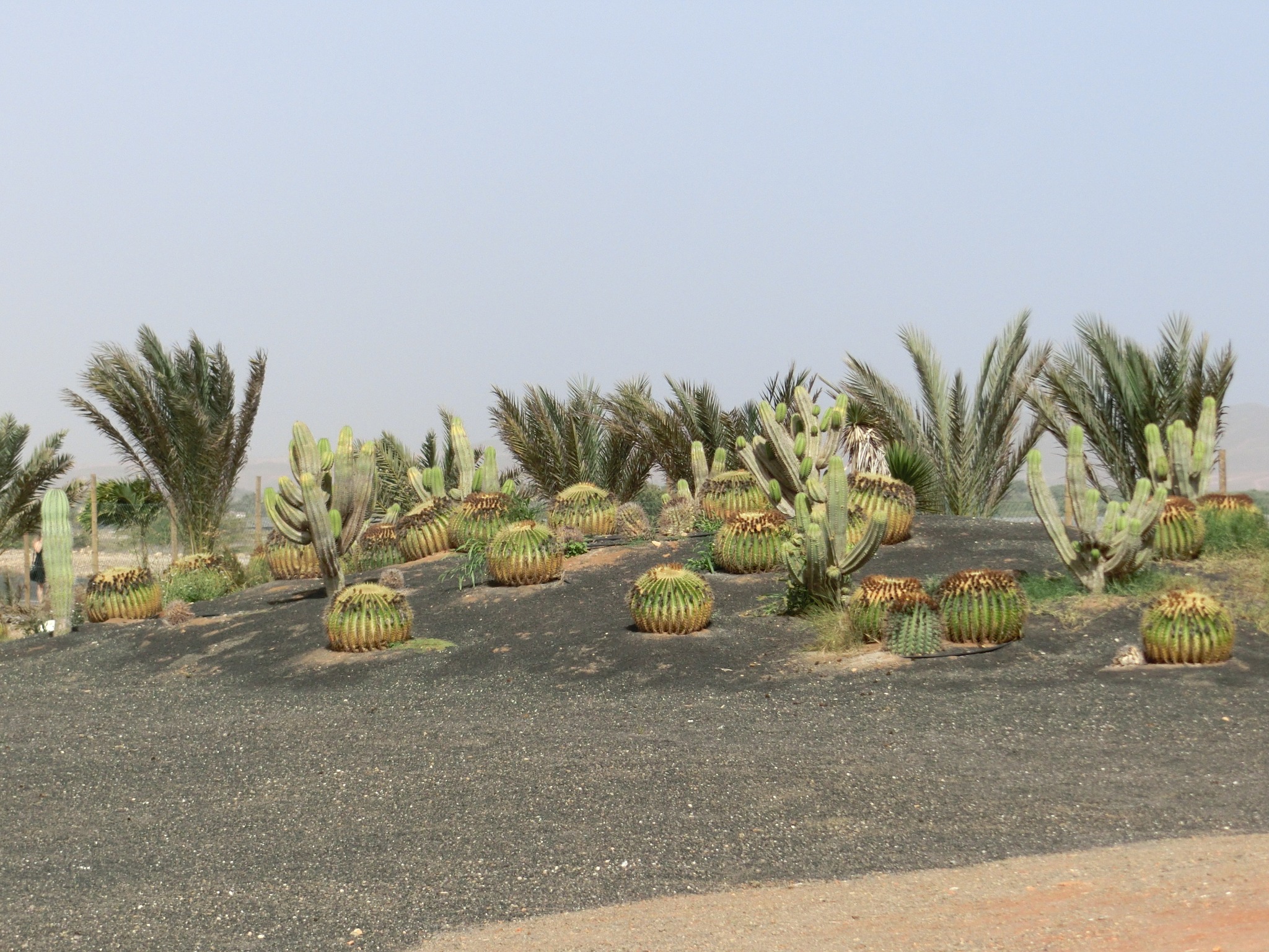 Hole 8 - neben dem Fairway