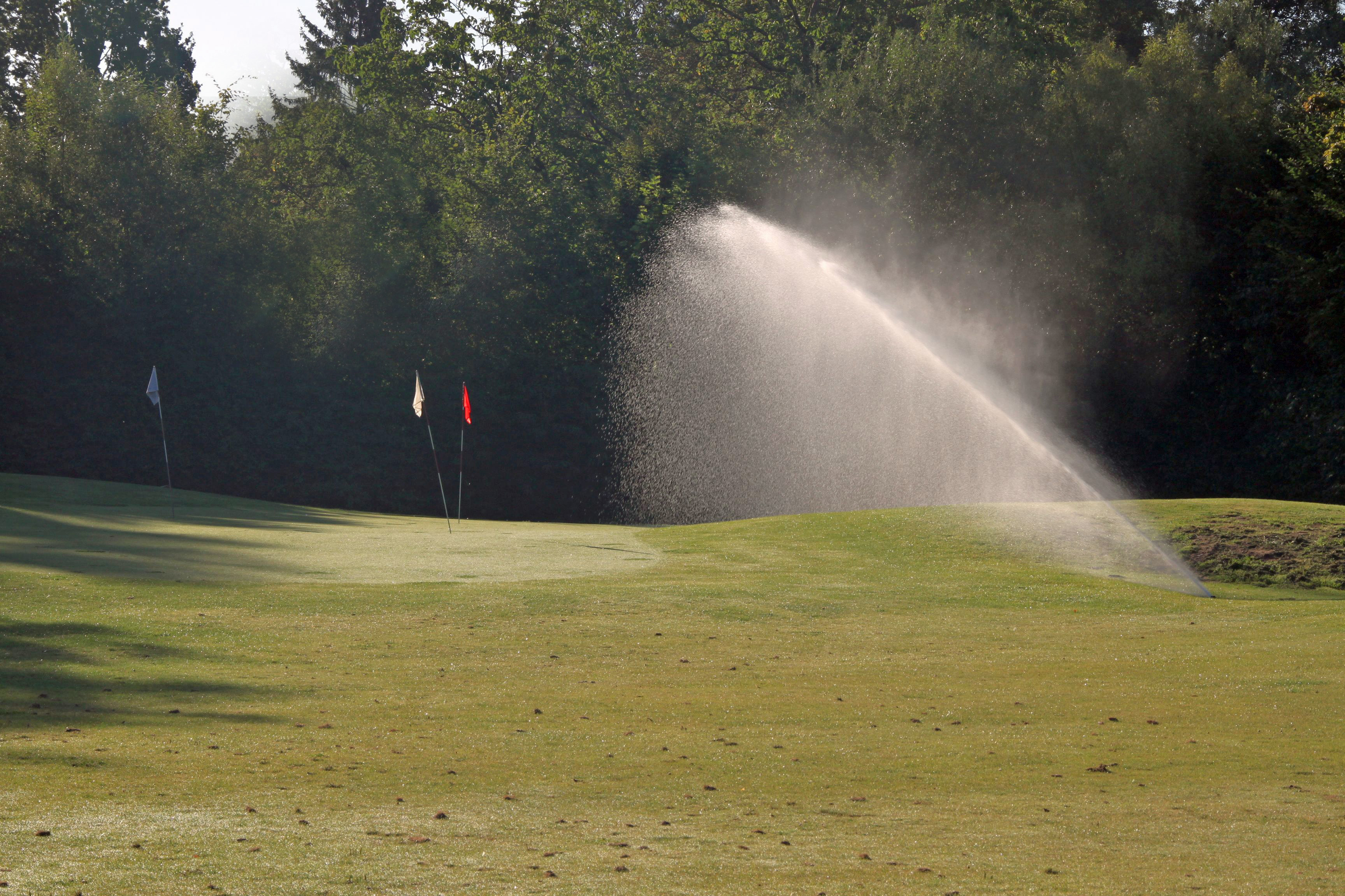 Dank Beregnung auch im Sommer Chipping Grüns