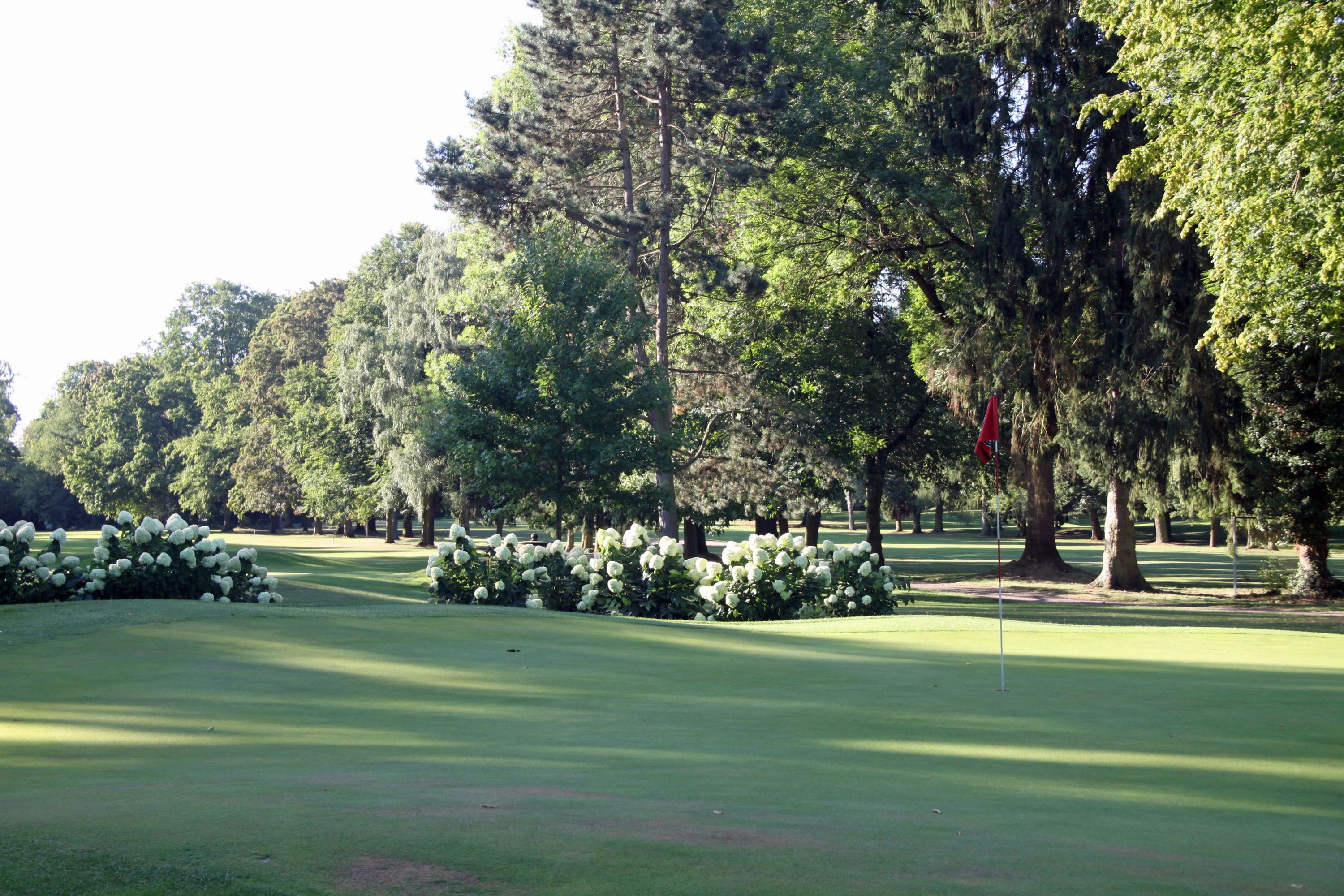 Echte Parklandschaft - schön anzuschauen! (Foto: M. Deniers)