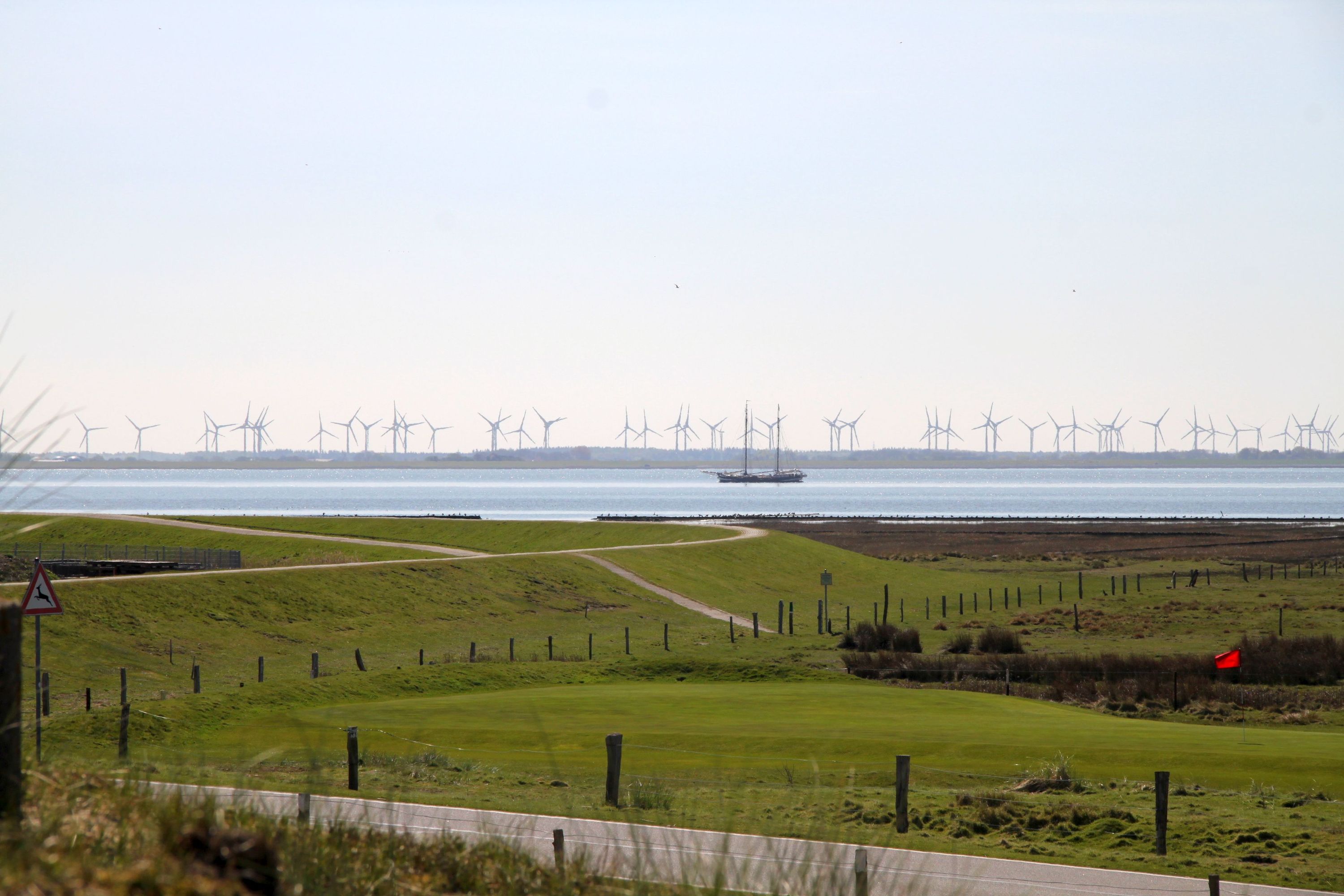 Jenseits der Straße das achte Grün (Foto: M. Deniers)