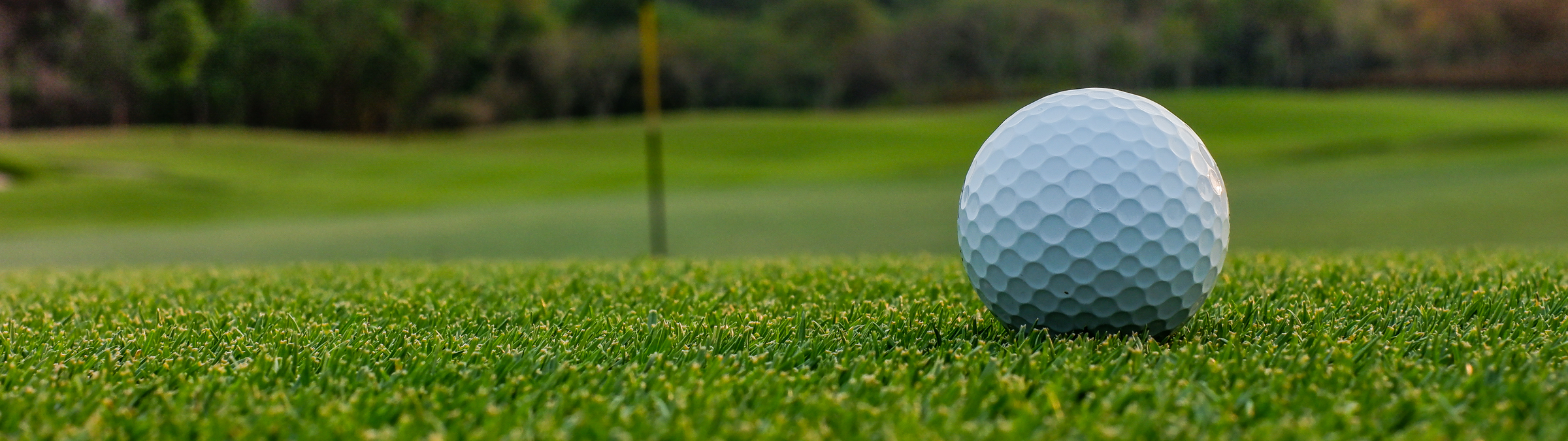 Grübchen - auch auf Bällen beliebt! Grübchen - auch auf Bällen beliebt!