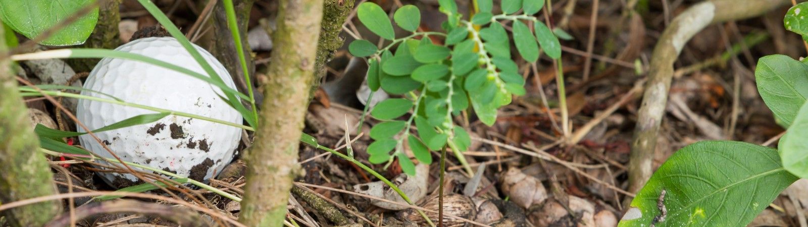 Wenn der Ball verloren oder im Aus ist ... Wenn der Ball verloren oder im Aus ist ...