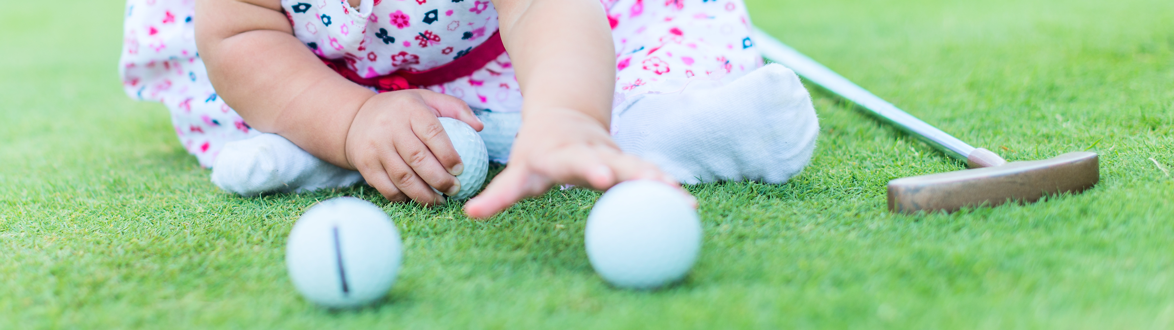 Bälle: Begehrte Objekte Bälle: Begehrte Objekte